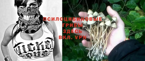 apvp Алексин