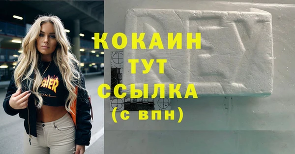 apvp Алексин